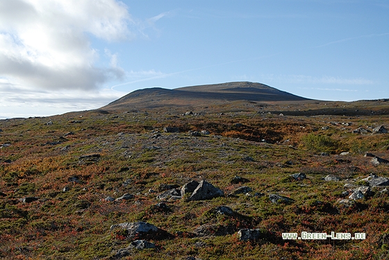 Bergtundra - Copyright Christian Gelpke