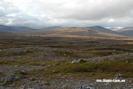 Bergtundra - Copyright Christian Gelpke