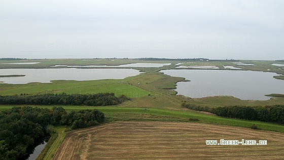 Wallnau, Fehmarn - Copyright Stefan Pfützke