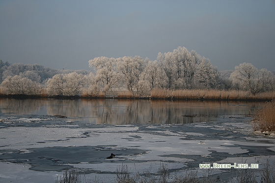 Flusslandschaft - Copyright Stefan Pfützke