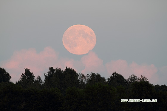 Mond - Copyright Stefan Pfützke