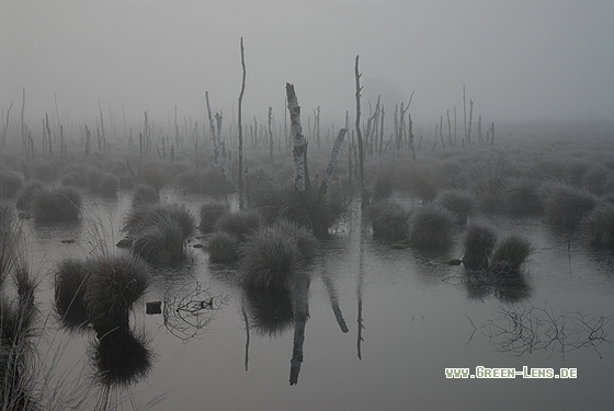 Moor - Copyright Christian Gelpke