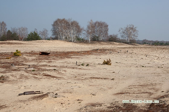 Sandheide - Copyright Mathias Putze