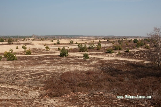 Sandheide - Copyright Mathias Putze