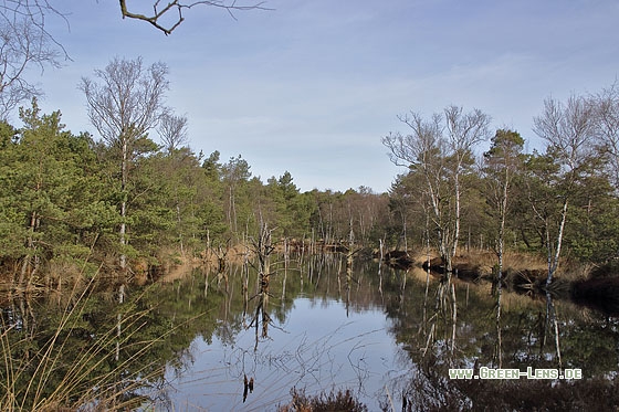 Moorlandschaft - Copyright Stefan Pfützke