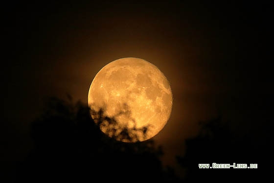 Mond - Copyright Stefan Pfützke