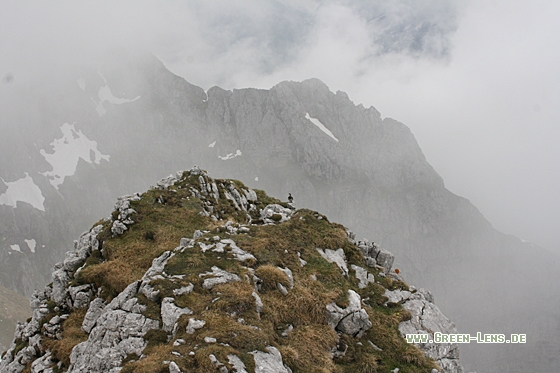 Alpenschneehuhn - Copyright Christoph Moning