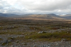 Bergtundra