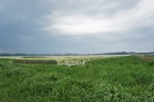 Polderlandschaft