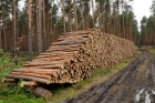 Holzwirtschaft