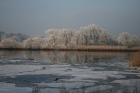 Flusslandschaft