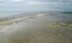 Westerhever